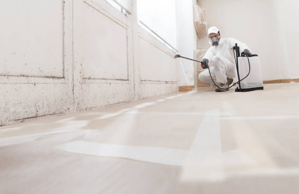 24/7 Emergency Mold Cleanup experts in Brentwood, TN